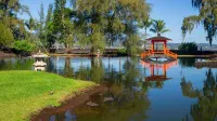 Direct Oceanfront Mauna Loa Shores  #508   New Remodel next to Beach Park