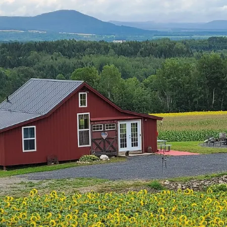 Mountain View Cabins #2