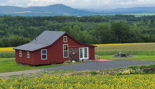 Mountain View Cabins #2