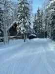 Cozy Alaskan themed cabin suitable for families or couples! King size bed, w/d