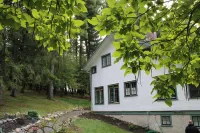 The Hillside B&B, Historic Home, Breakfast, Lake View Tommy Bartlett Exploratory附近的飯店