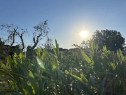 New: VILLA GIULIA charming modern vacation home, PRIVATE pool, idyllic location