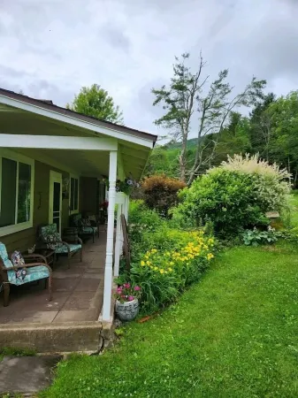 Moonlight Reflections