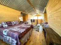 Indian Paintbrush Cabin 2 - 2 bedrooms in Creede, Colorado