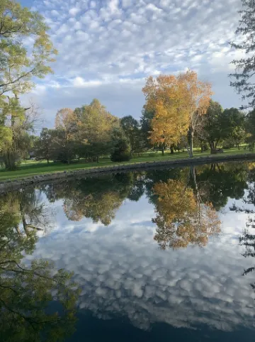 Continental travelers suite!! Spacious apartment, 5 minutes from Dorney Park !!