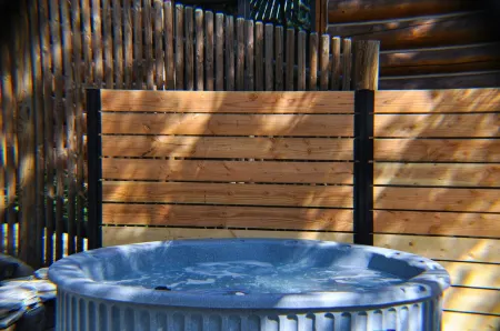 Chic Old Style Cabin, Forest Suite & Dome Lake Front. Private Beach and Own Dock