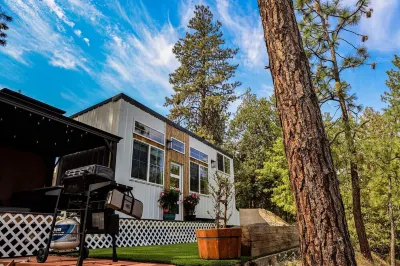Modern Tiny House in the Woods w/Hot Tub