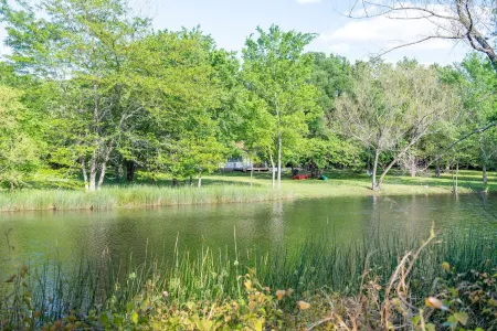 Skylight Ranch - Spacious Getaway