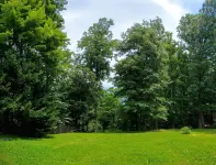 Urban Oasis I Large 2bd/1ba I Surrounded by Nature I 30 mins to DC