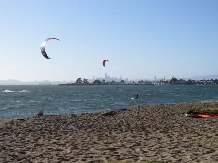 Minimalistic Garden Level 1B/1B  Victorian Cottage in Alameda Отели рядом с достопримечательностью «Pacific Pinball Museum»