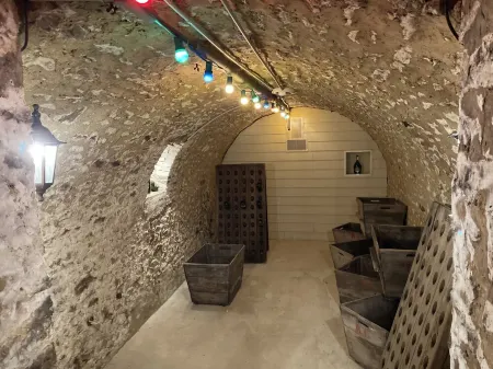 Character house from 1894 in the heart of the Champagne vineyards, near Epernay