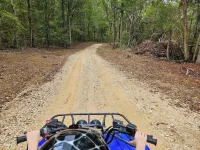 Kentucky Lake Getaway w/ Boat Launch & Dock!