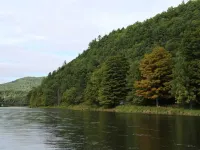 Riverfront Cabin West Branch Delaware River - Chalets