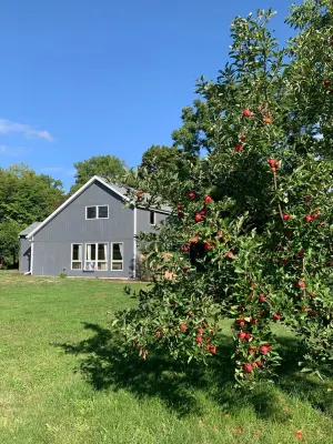 The Timber Garden Cottage
