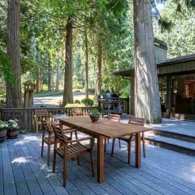 Bridle Trails Treehouse Hotel Exterior