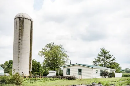 Unique Gardens Cottage · Unique Gardens Cottage - surrounded by flowers