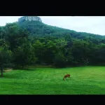 Isolate Stay at Pilot Mountain