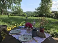 Quaint vacation home with ponies in the Rhön biosphere reserve x1f415;x1f40e;