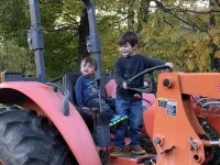 Off-the-Grid Historic 1930 Farmhouse Adventure on Working Horse Farm with Sauna Hotels in Bald Mountain