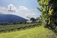 Cedarbank • Cabin in Virginia Wine Country