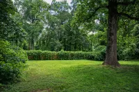 Serene 3BR Near Downtown, Fenced Yard, Pets OK Hotels near Conestee Park