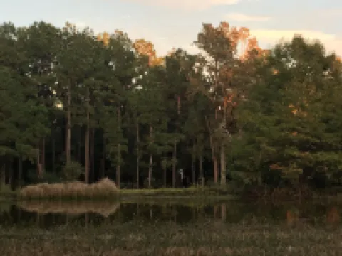 Farmhouse Cottage in the Country