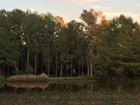 Farmhouse Cottage in the Country