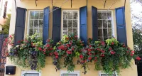 Unique Zen Tiny House 2 mi to Beach ~ Free Bikes! Minutes to Historic Charleston - Country Houses