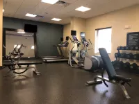 Hampton Inn & Suites Tampa Northwest/Oldsmar - Gym