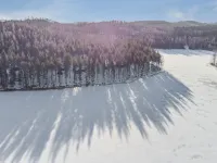 Aittoniemi I