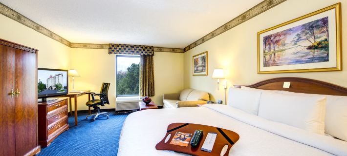 Hampton Inn & Suites Atlanta-Galleria Hotels in Cobb County