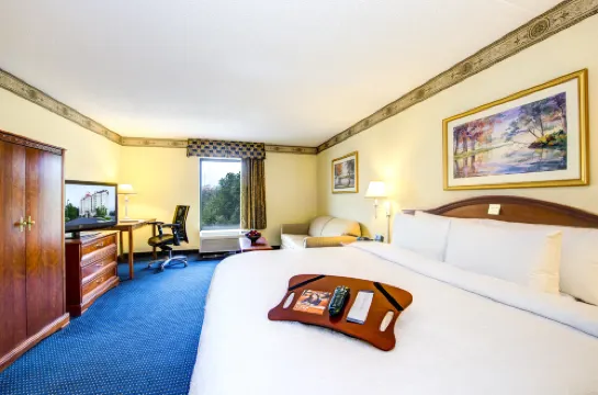 Hampton Inn & Suites Atlanta-Galleria