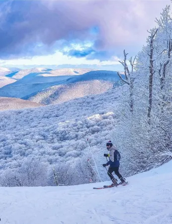 Woodstock Historic Artist Estate - The Carriage House