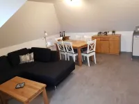 Vacation Sun Summer Winter