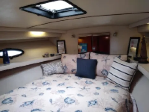 Affordable Luxury Yacht Charters.