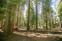 Tahoe Donner Cabin Level Driveway Sleeps 8