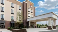 Comfort Suites Kingston Central