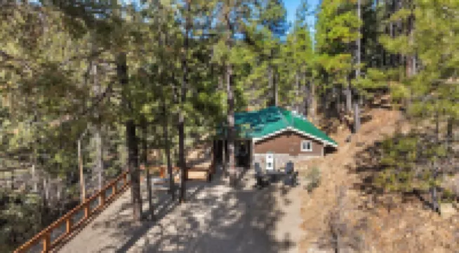 MTNSIDE Cabin with VIEWS by LYNX LAKE 20 min to TOWN