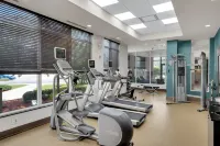 Hilton Garden Inn Toronto/Brampton - Gym