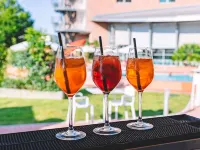 Novotel Venezia Mestre Castellana - bars