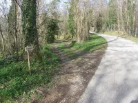 Cottage set in it's own woods near Lucca