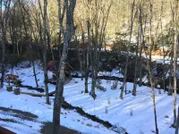 Creekside Cabin, Willis, VA
