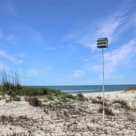 White Pelican by Pristine Property Vacation Rentals
