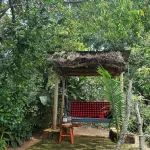 Tilapia Lodge Hotels in Busiro