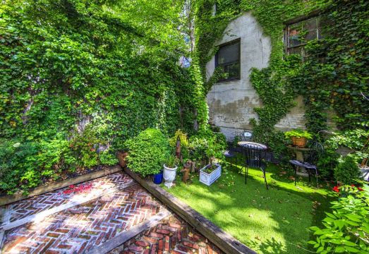 첼시 파인스 인