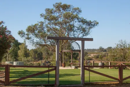 Angaston Vineyards Motel Отели в г. Мокулта