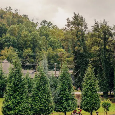 Brookside Lodge - Gatlinburg - on the River