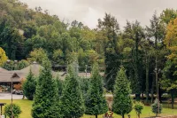 Brookside Lodge - Gatlinburg - on the River - Mountain view