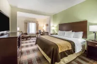 Comfort Inn Lexington South Hotels in Wilmore