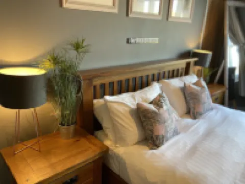 河邊房間 特倫託河上的紐瓦克酒店